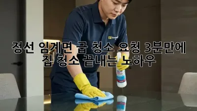 정선 임계면 급 청소 요청? 3분만에 집 청소 끝내는 노하우!